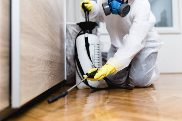 Best Flea Control Services  in Carbonville, UT