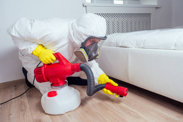 Best Bed Bug Extermination  in Carbonville, UT