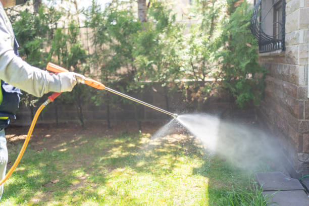 Best Affordable Pest Control Services  in Carbonville, UT