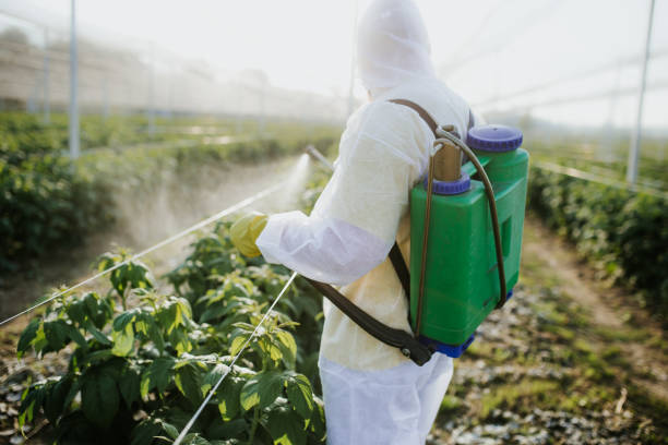 Best Insect Control  in Carbonville, UT